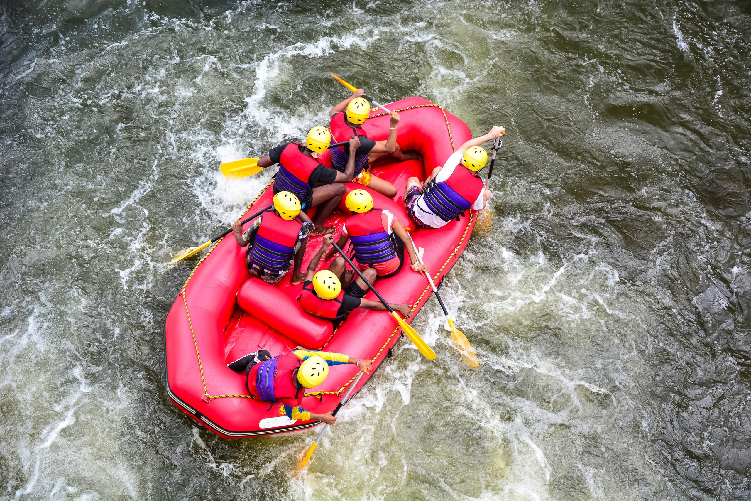 Depositphotos_45430597_xl-2015 2
